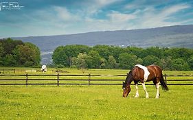 Letchworth Farm Guesthouses